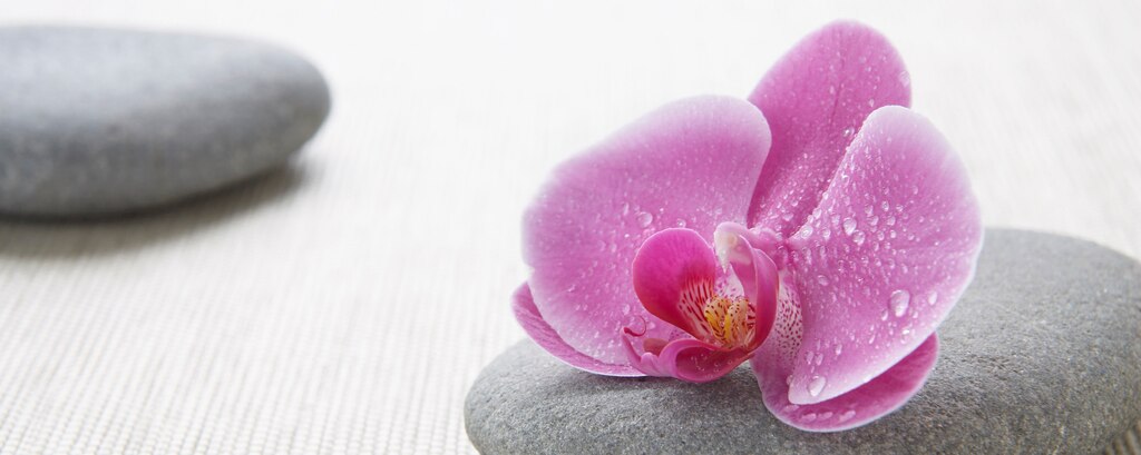 Renaissance 商务酒店提供豪华水疗中心，带来非凡的水疗酒店体验